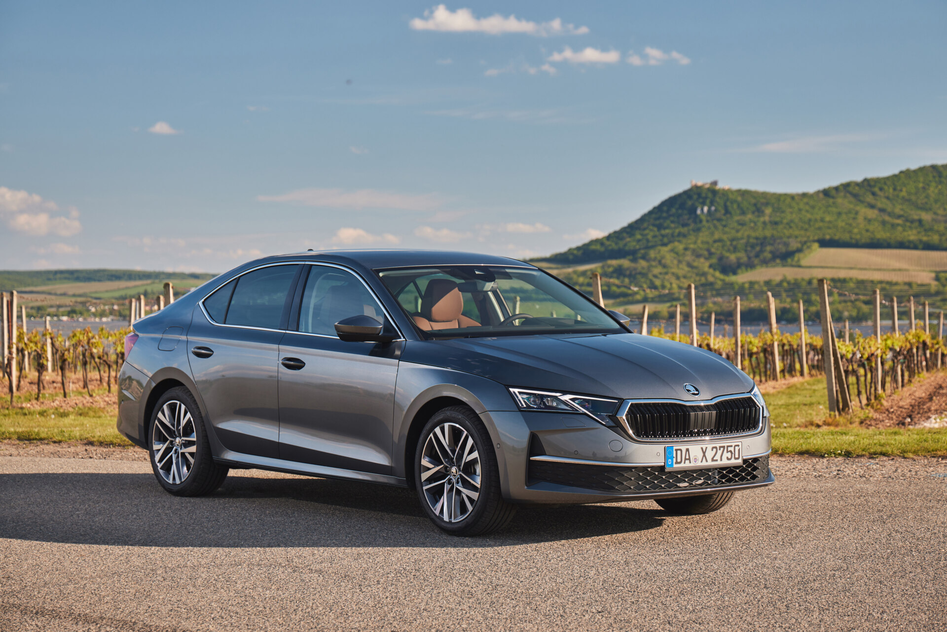 Grey Škoda Octavia photographed beside a vineyard